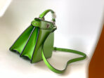 Peekaboo ISeeU Petite 20 Bag Green Lambskin Shw - 图片 9