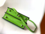 Peekaboo ISeeU Petite 20 Bag Green Lambskin Shw - 图片 8