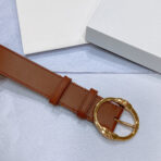 CL LARGE 35MM TWIN TRIOMPHE BELT IN BRONZE BROWN CALFSKIN GOLD HARDWARE - 图片 3