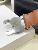 CL LARGE 30 MM TRIOMPHE BELT IN BRONZE BROWN SILVER HARDWARE - 图片 4