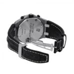 AP Panda Replica - 图片 3