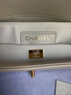 Chanel Calfskin Size:25x15x9cm - 图片 2