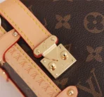 Louis Vuitton Model: 46358 Size: 23x16x6cm - 图片 4