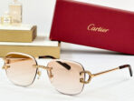 CRYSTAL STUDDED RIMLESS SQUARE FRAME SUNGLASSES CT0604S IN METAL - 图片 6