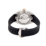 Omega Seamaster Silver Dial Replica - 图片 5