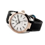 Omega Seamaster Silver Dial Replica - 图片 4