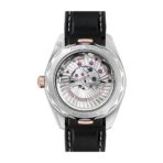 Omega Seamaster Silver Dial Replica - 图片 6