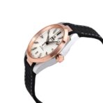 Omega Seamaster Silver Dial Replica - 图片 3