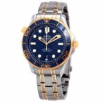 Omega Master Gold Replica - 图片 2