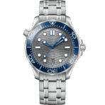 Seamaster 海馬300全系列 - 图片 9