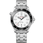 Seamaster 海馬300全系列 - 图片 7
