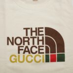 Gucci X The North Face Crewneck Sweater in Beige - 图片 2