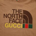Gucci X The North Face Pullover Hoodie in Brown - 图片 2