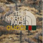 Gucci X The North Face Forest Print Pullover Hoodie in Multicolor - 图片 2