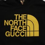 Gucci X The North Face Web Print Hoodie in Black - 图片 2