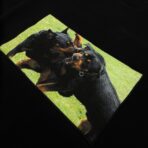 Givenchy Men’s Rottweiler Patch Black Crewneck Jumper - Large - 图片 3