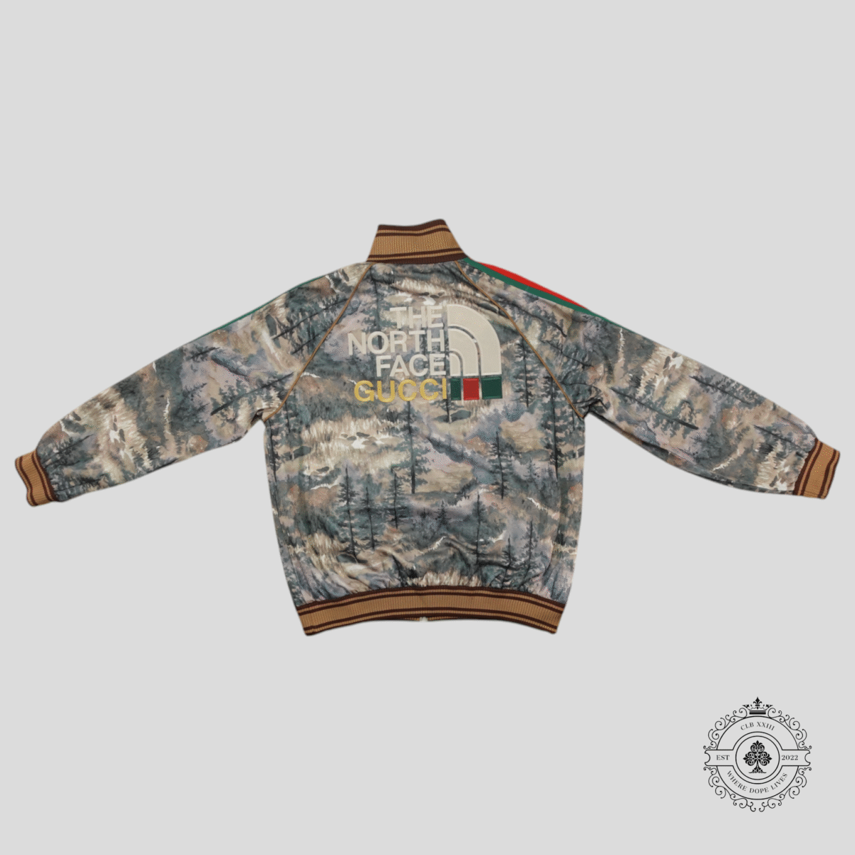 Gucci X The North Face Forest Print Technical Jacket in Multicolor - 图片 2